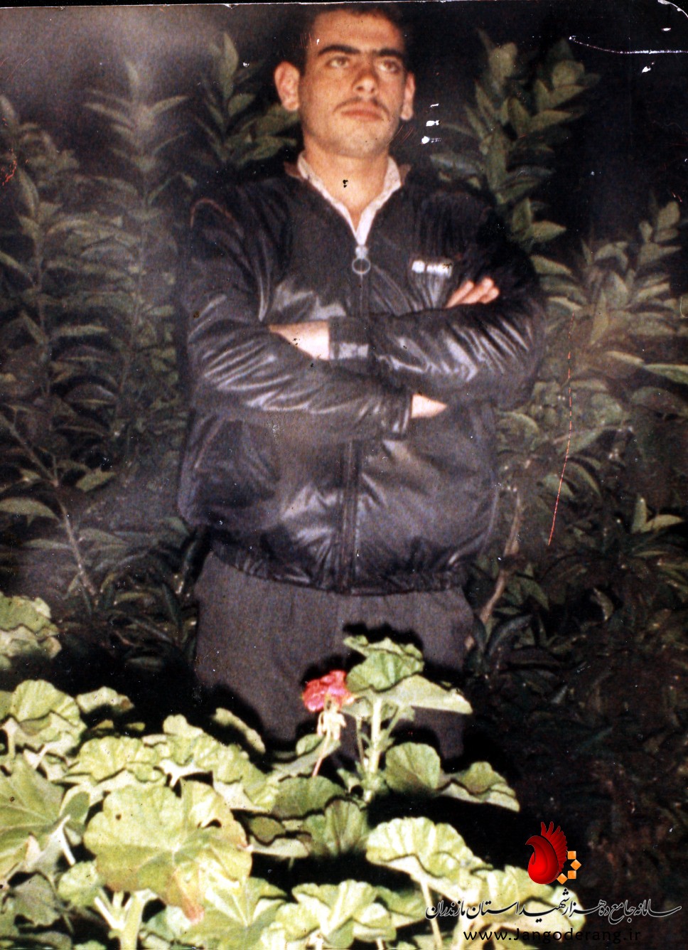 شهید ابراهیم شکوری راد