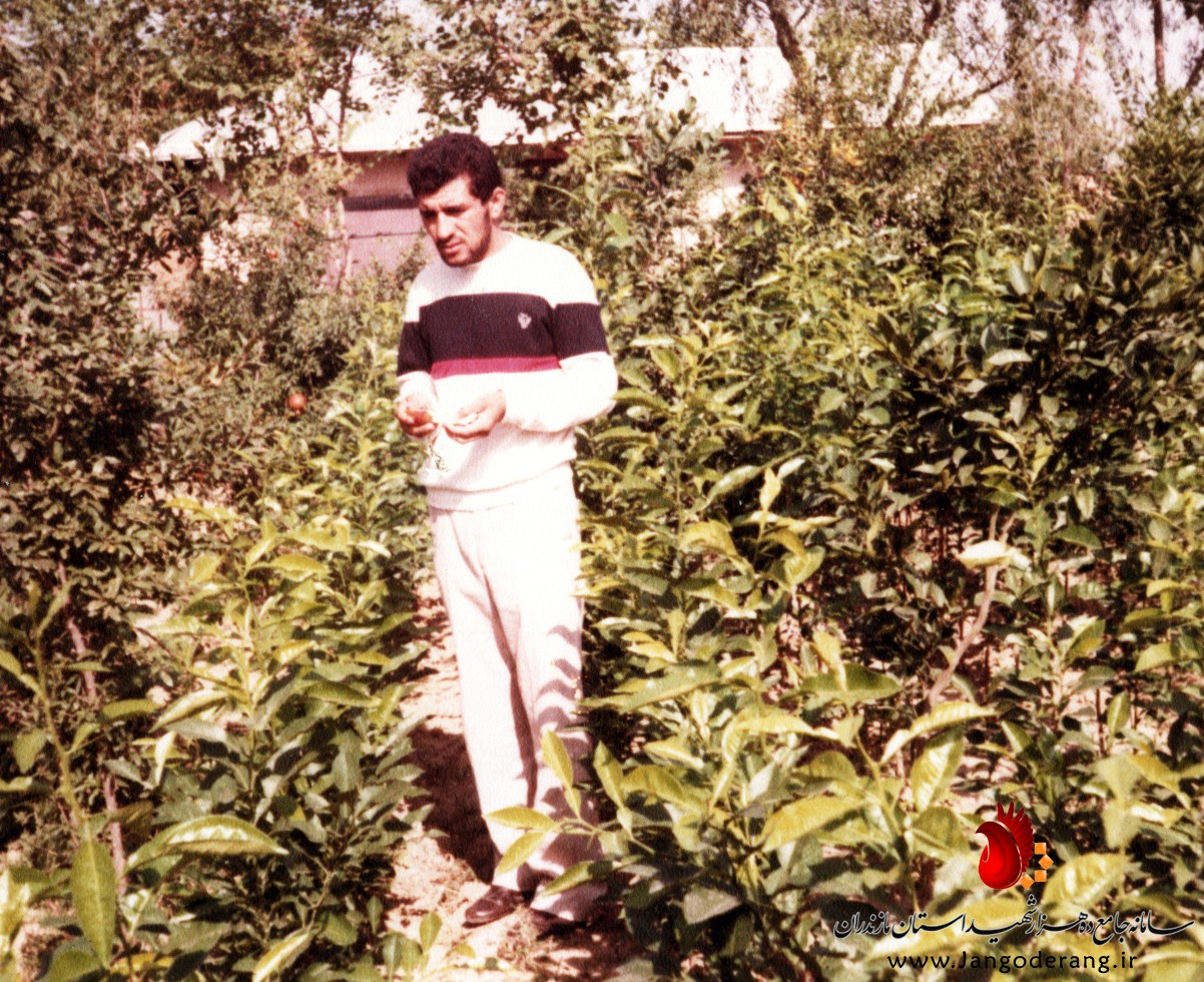 شهید علی اصغر نظری