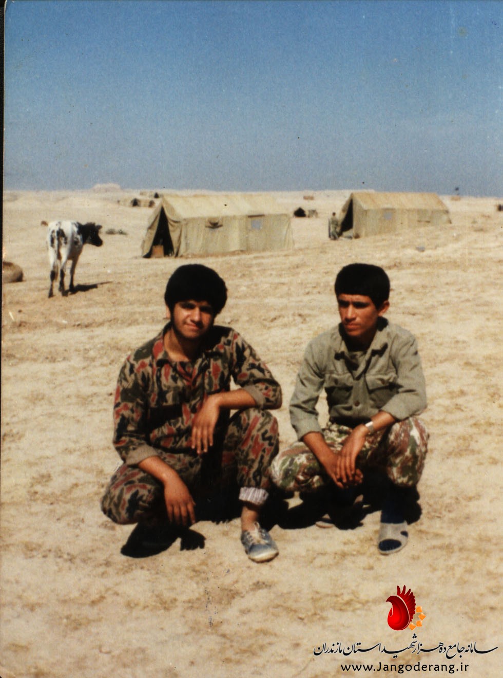 شهيد عبدالعلي رستمي كميشاني